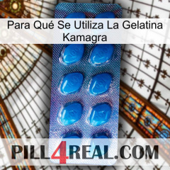 Para Qué Se Utiliza La Gelatina Kamagra viagra1